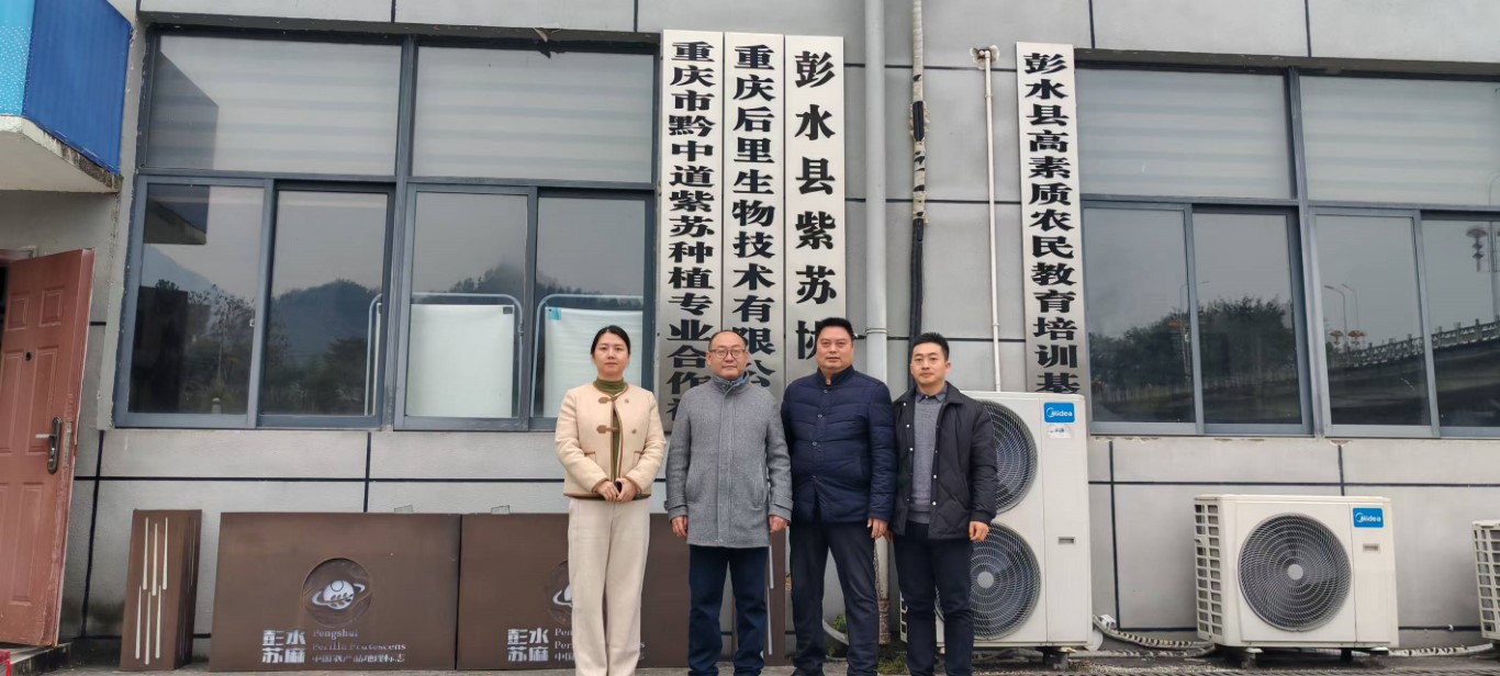 微信图片_20251212101610_444_167