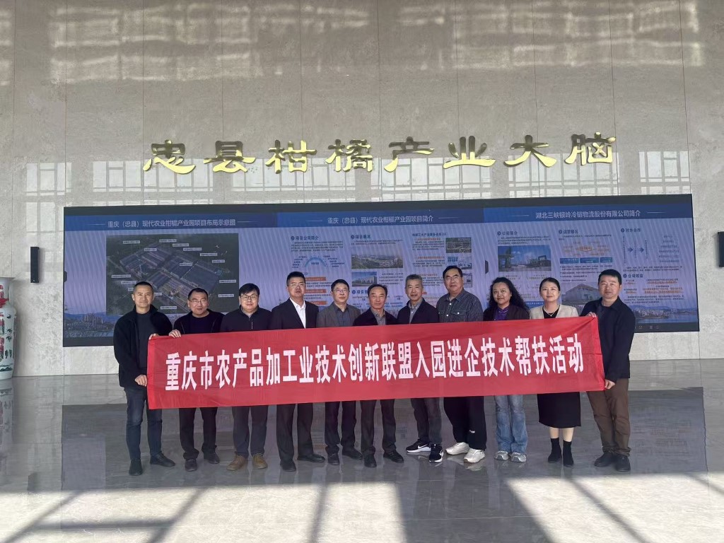 2fd7aac23e9f677cb204ea3e0a19cd83